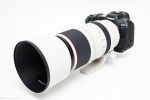 Canon RF 100-500mm F4.5 - 7.1L IS USM - Image 3